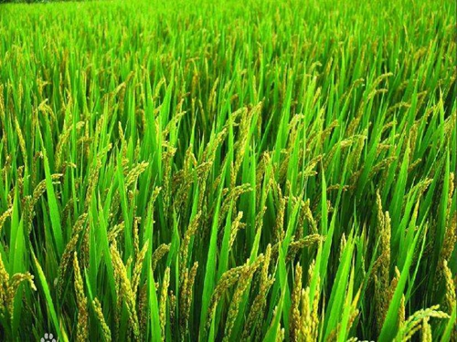 桶装水矿泉水设备 桶装水矿泉水设备